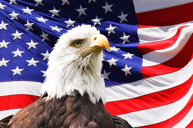 крупнейшие компании США - иллюстрация в виде белоголового орлана на фоне флага США